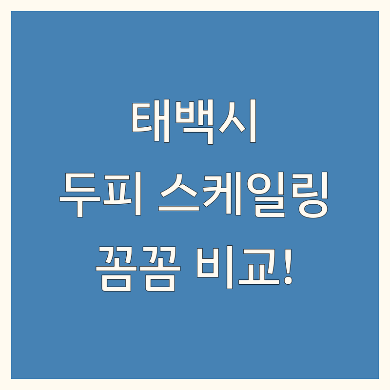 태백시 두피 스케일링 추천 | 꼼꼼 비교하고 선택하세요!