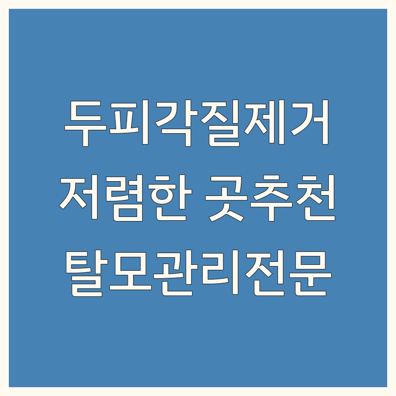 주요 지역 두피각질제거 저렴한 곳/가격싼 곳 업체 추천 | 두피 스케일링 비용/가격 잘하는 곳 | 두피 디톡스 모근 강화 | 탈모 관리 헤어라인 개선 전문샵 | 꼼꼼한 관리 합리적인 가격